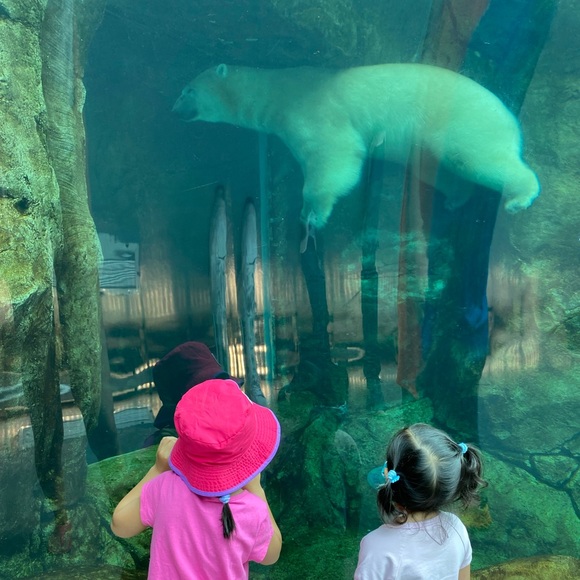 Meet your Posher, Charm - Picture 1 of 1